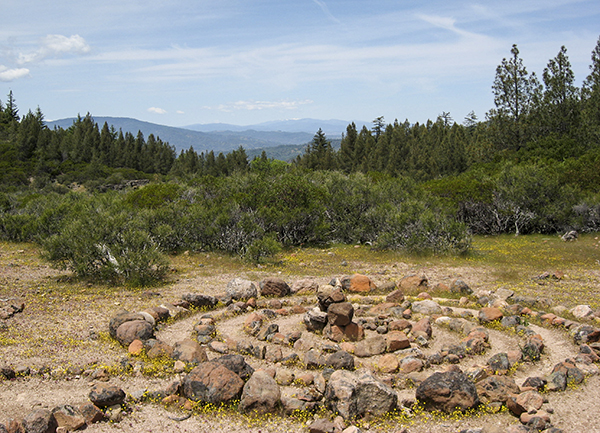stine spiral in the woods